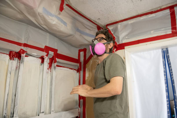  Ben Lomond, CA Mold Removal Pros